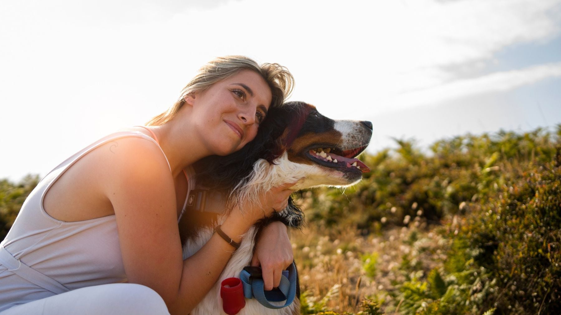 María, veterinaria española: «El gran error que cometen muchos dueños ...