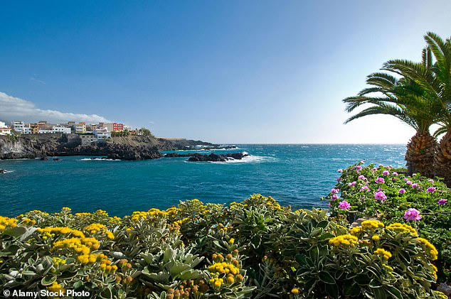 A elderly British man has died after being attacked by a Senegalese immigrant while celebrating his birthday with his wife in Tenerife (File image) 