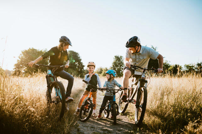 A simple family activity may boost brain function, study finds
