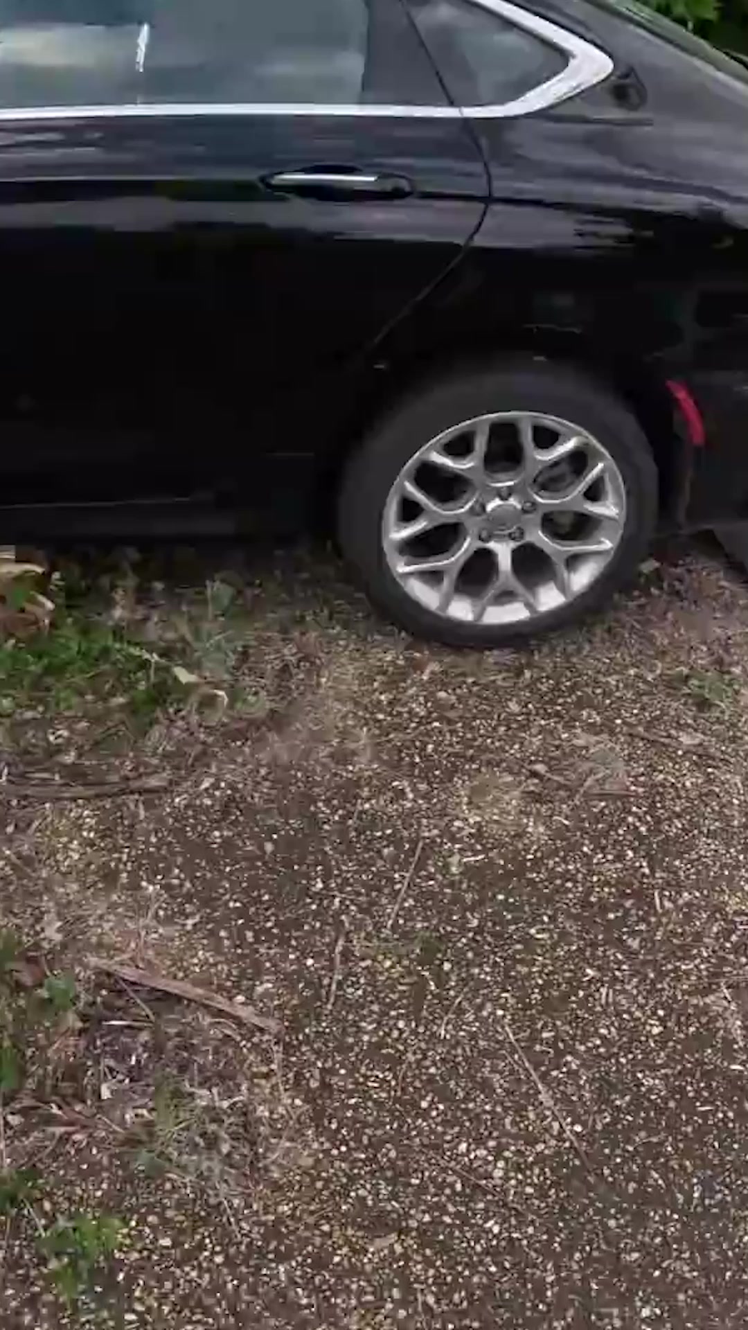 Chrysler pulled out of the bushes