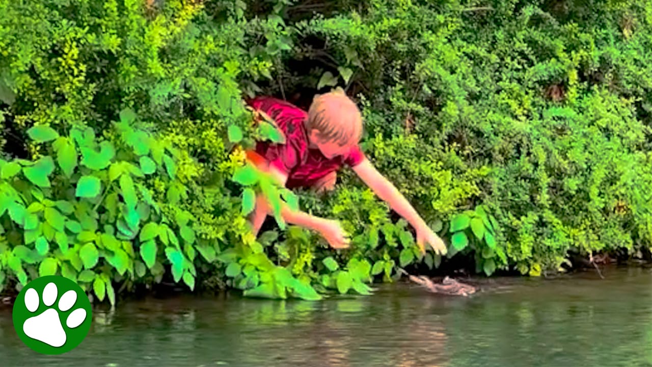 Three children discover a duck trapped in a fishing line