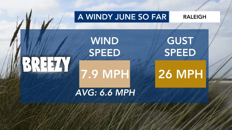 Ask the meteorologist: Why has it been windier than normal this June?