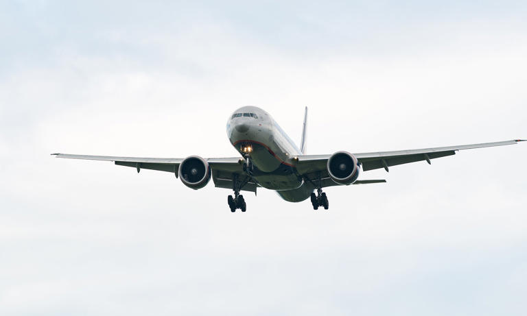 Air rage thug DIES after being overpowered by passengers while threatening to 'break into cockpit'