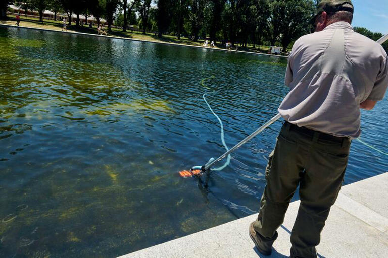 The renovated Reflecting Pool in DC is now full of algae - so what's ...