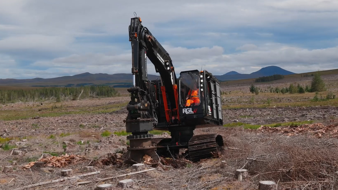 Powerful Forestry Excavator Removing Tree Stumps With Ease