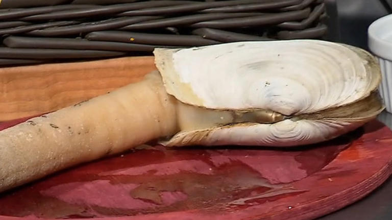 10 of the most unusual ingredients used on Chopped