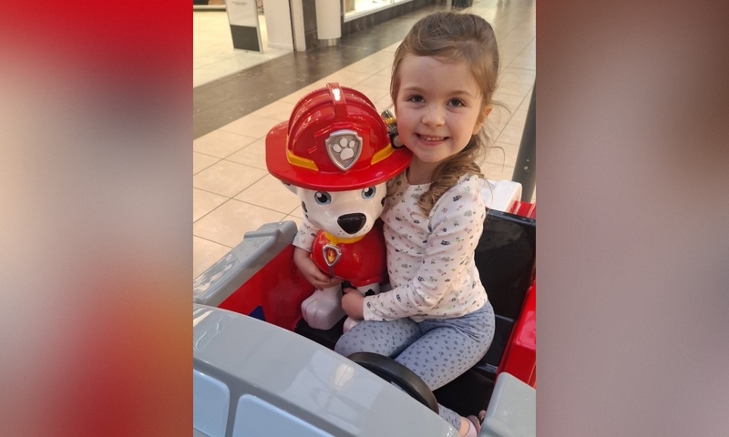 Six-year-old girl dies after being struck by a van in Newry
