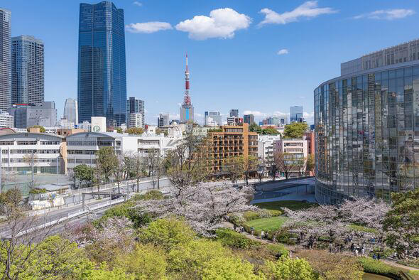 Scenic view of Pink sakura tree in Mori Garden with Tokyo Tower Background , Roppongi Hills, Roppongi, Tokyo