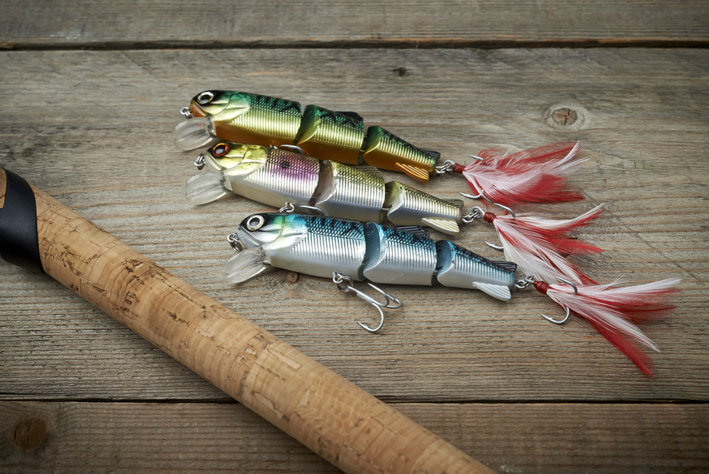 cicadas fishing lure Cicadas * Surface Lure Bait, Road Baits * Surface, Tractor Imitations,  Birds * Surface, Road Baits on The Sea * And Other Floating * Baits