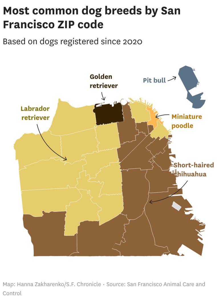 These are the most popular dogs in every San Francisco ZIP code