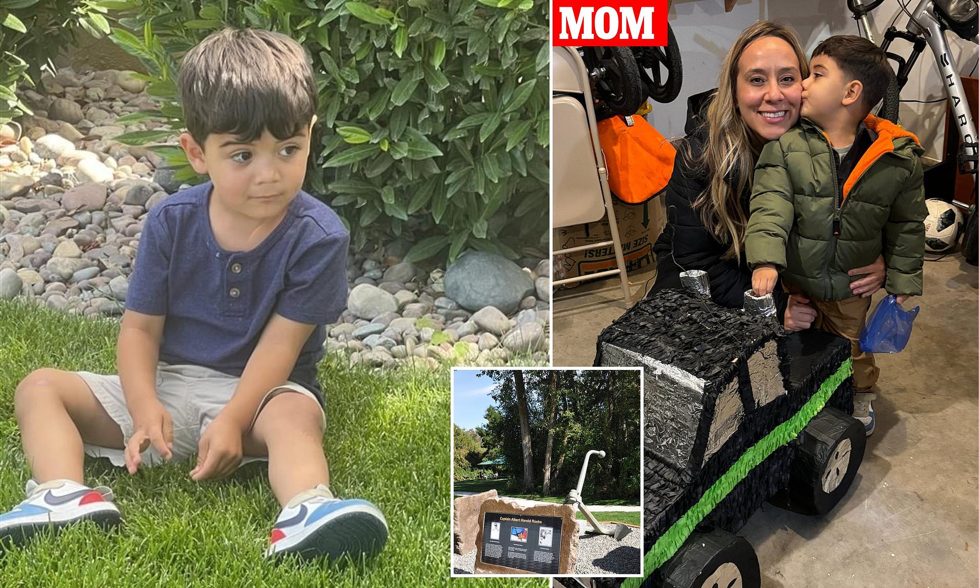 Boy, 3, is crushed to death in freak park accident while his nurse mom finds out on shift