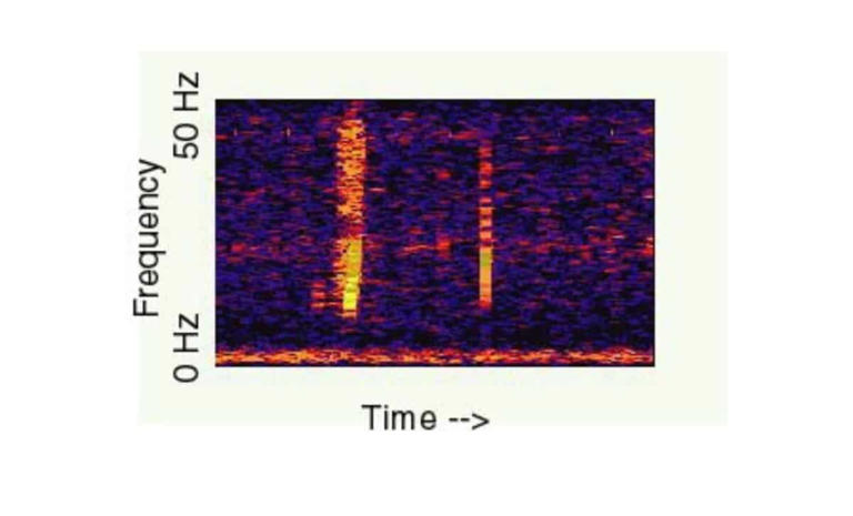 A strange deep-sea sound detected across 3,100 miles stumped scientists ...