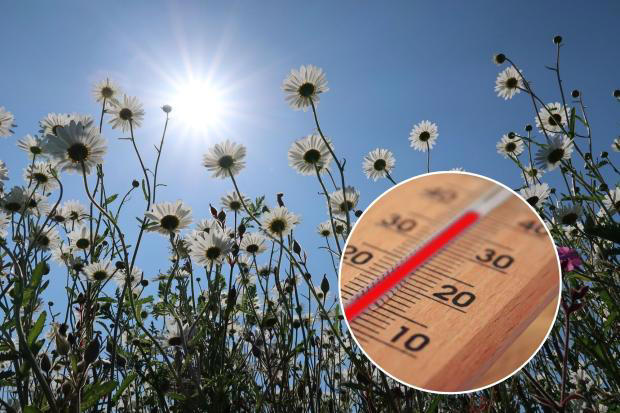 Met Office issues red heat warning for parts of Hampshire in 38C heatwave
