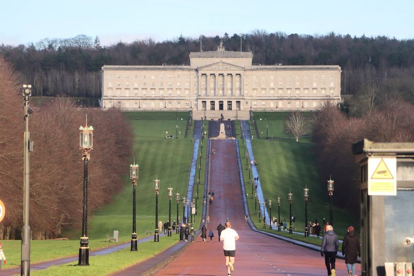 Culling foxes creates chaos MLAs told as Stormont scrutinises hunting ...