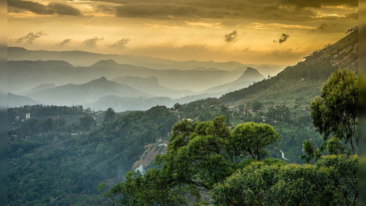 Western Ghats in three states to be declared eco-sensitive areas: Sources