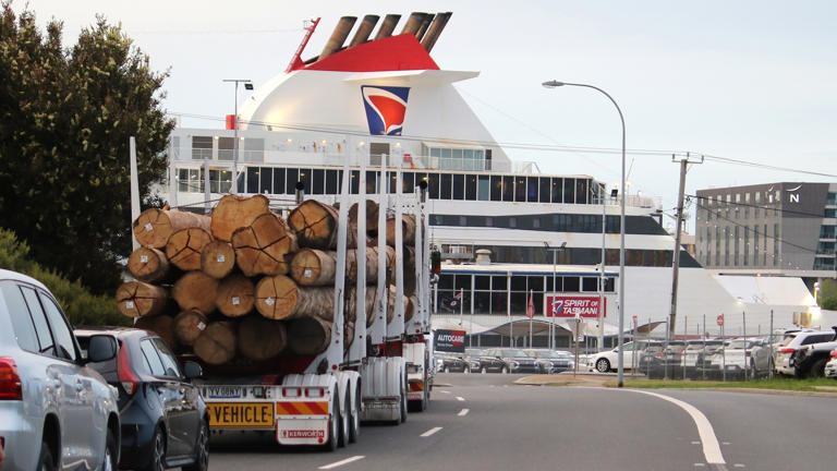 Sustainable Timber Tasmania gives new answer to parliament over logs ...