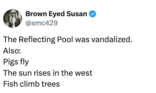 Literally just 28 great jokes about the Reflecting Pool disaster
