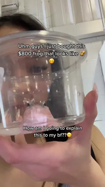 I spent 800 dollars on a frog and now I need help