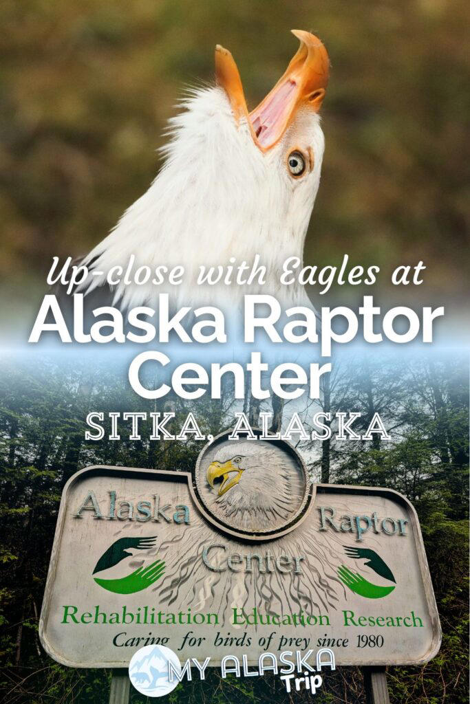 Beautiful birds at the Alaska Raptor Center in Sitka – a must!