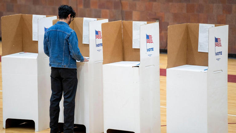 Michigan local officials to begin terms only after all votes are ...