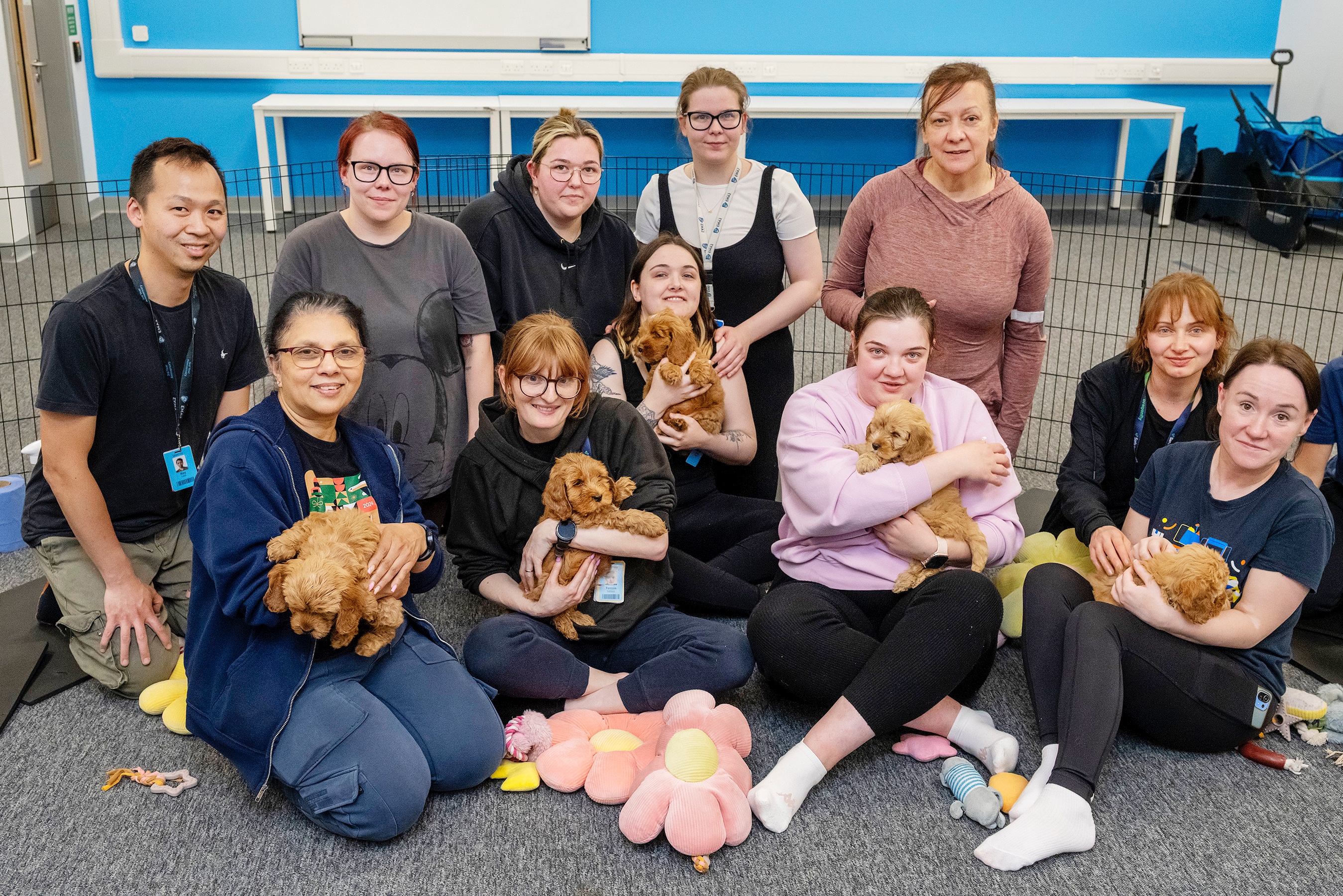 Workplace takes 'paws' to welcome furry friends on site