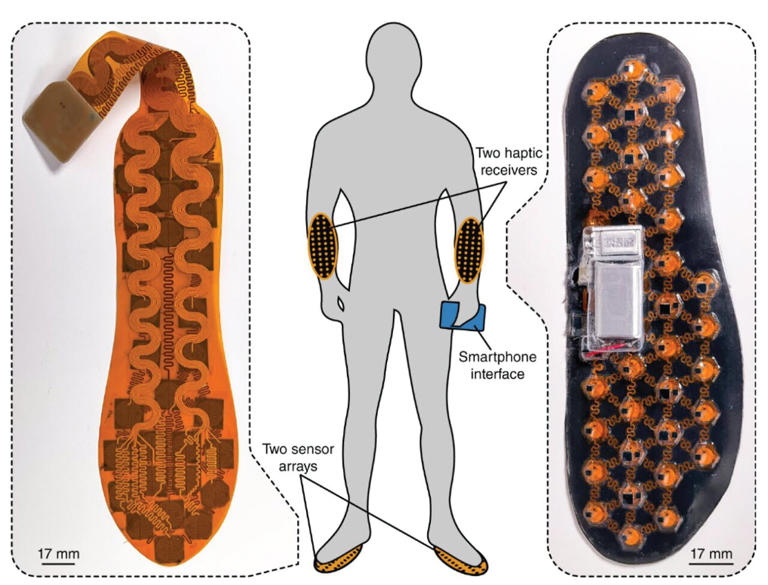 Haptic insoles and forearm band improve balance by substituting lost ...