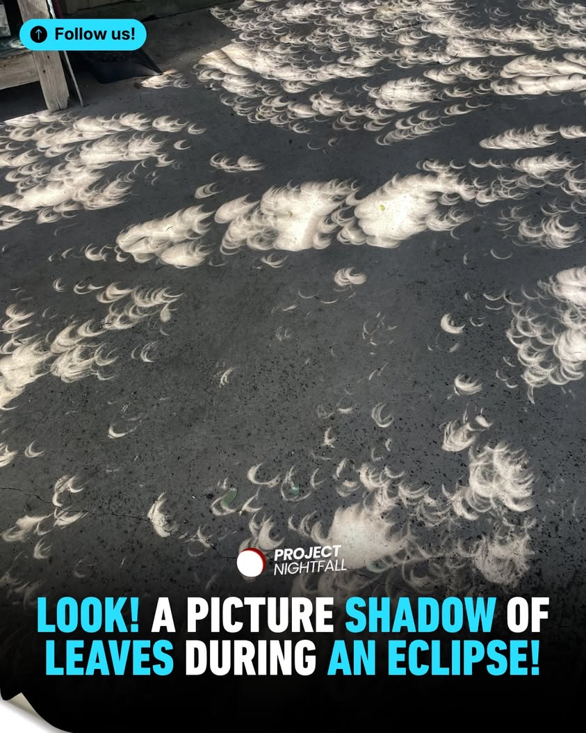 Eclipse shock! Thousands of mini-suns unfold a secret show beneath your ...