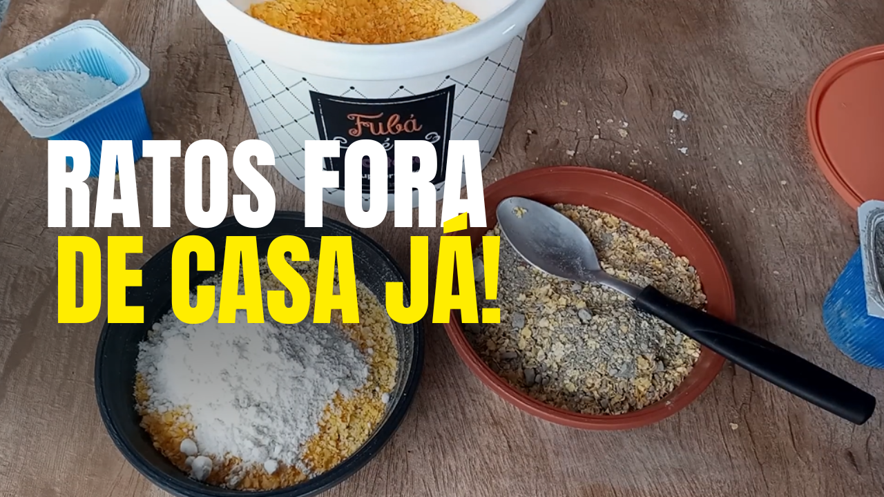 Como eliminar ratos em casa e no jardim sem veneno
