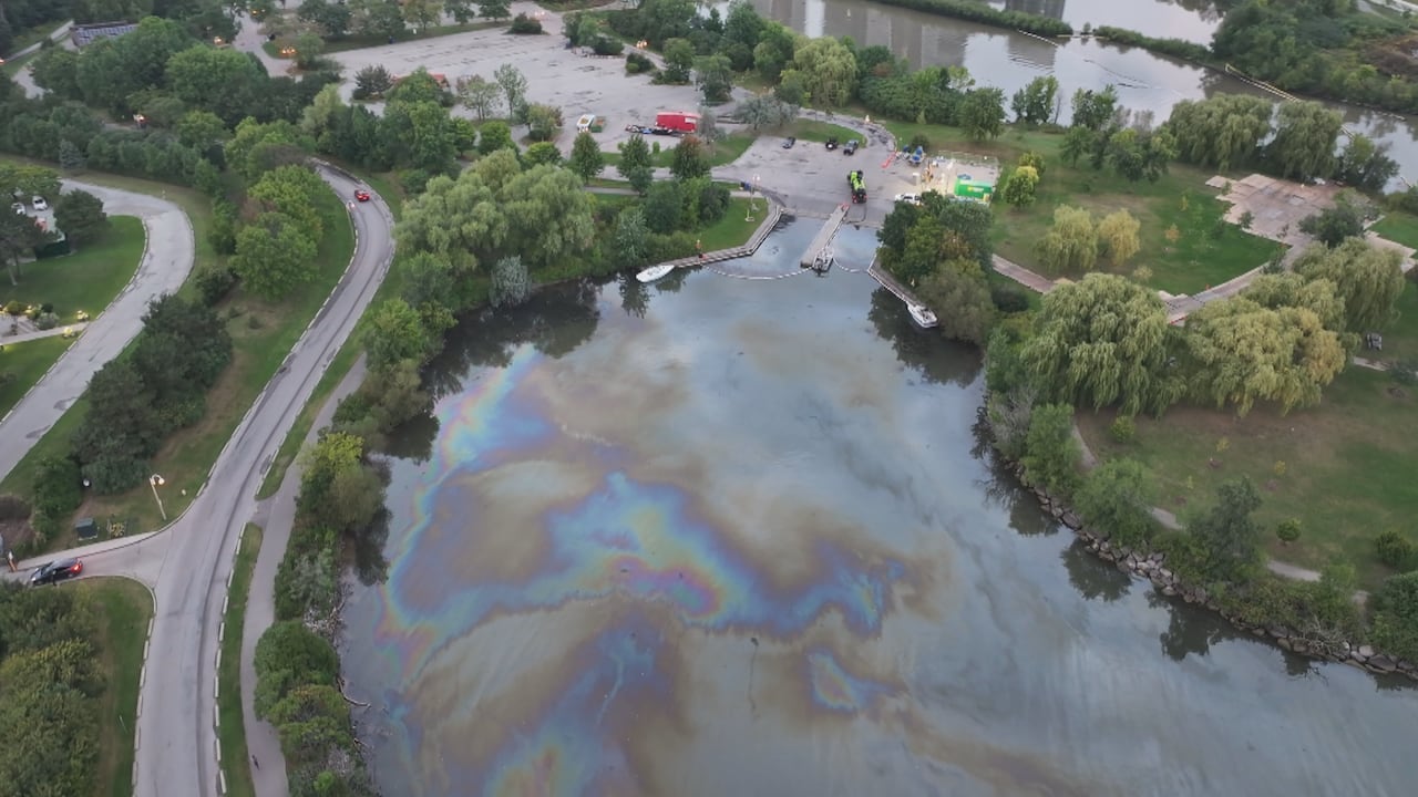 City of Toronto confirms diesel spill in Mimico Creek just 3 years ...