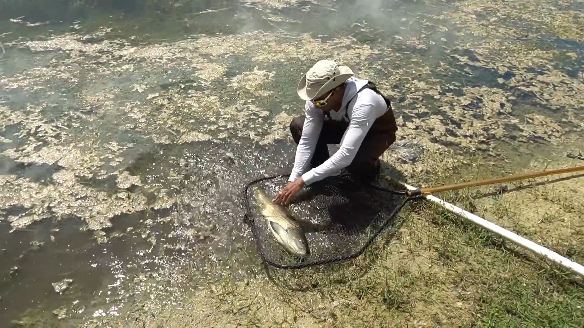 How we finally caught the black fish no one believed existed