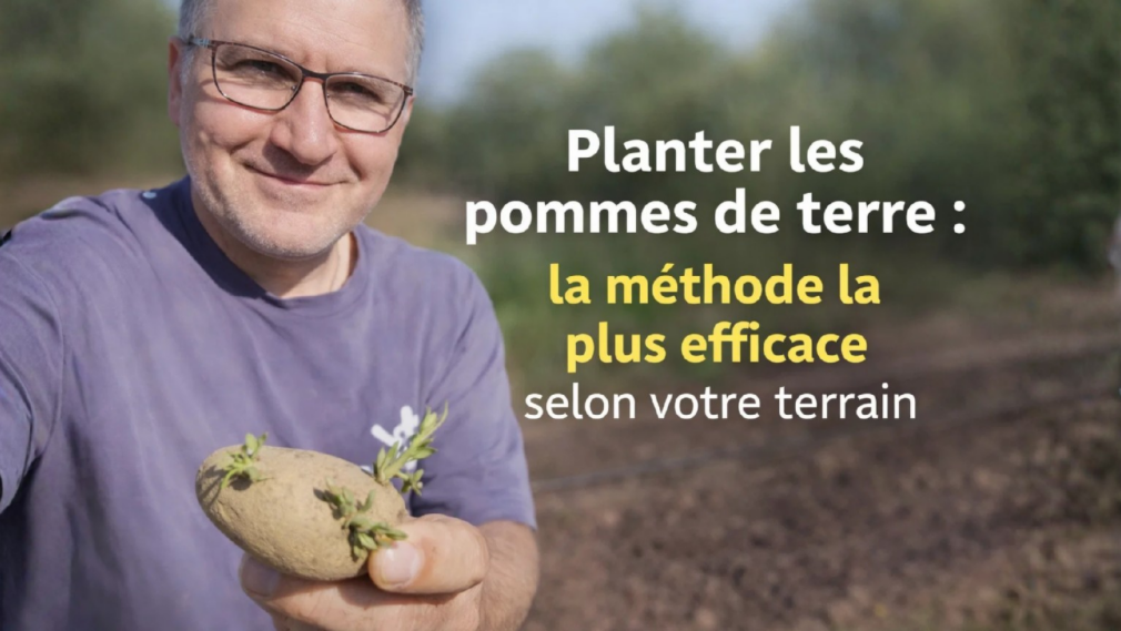 Comment planter les pommes de terre selon votre terrain — free download