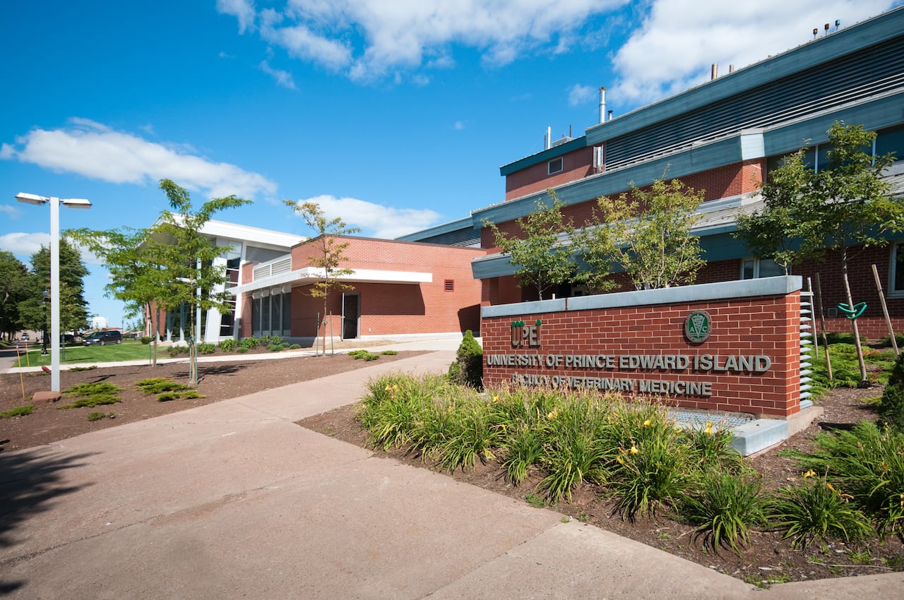 Atlantic Veterinary College to upgrade HVAC system following ...