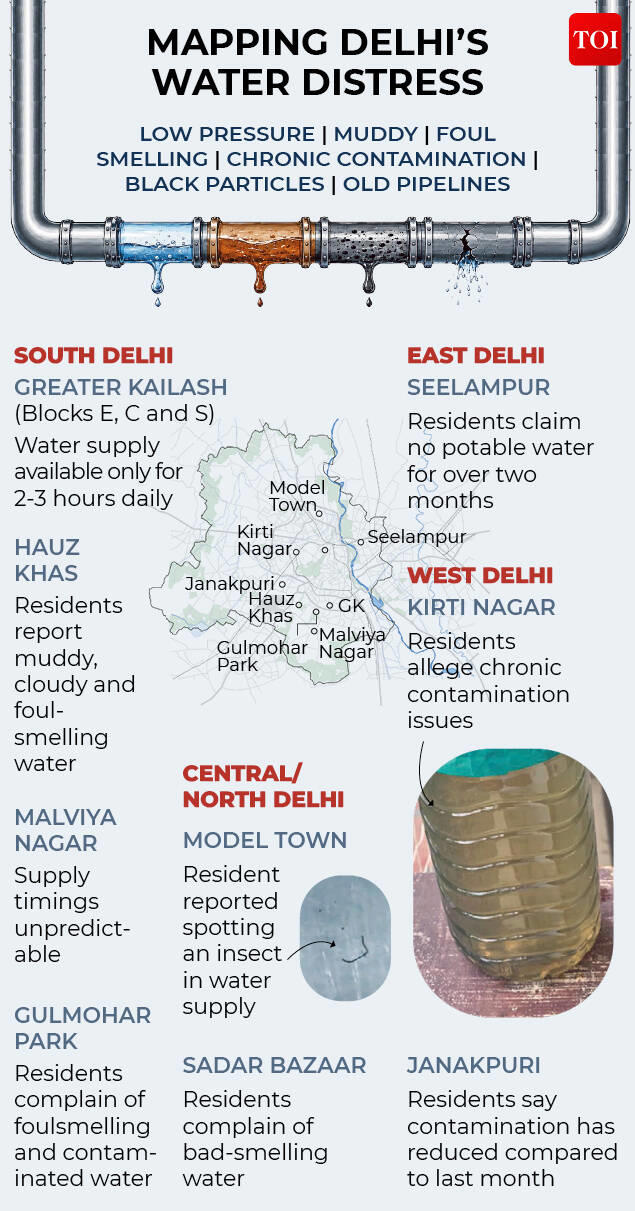 Bugs, black particles, foul smell: How Delhi's deepening water crisis ...