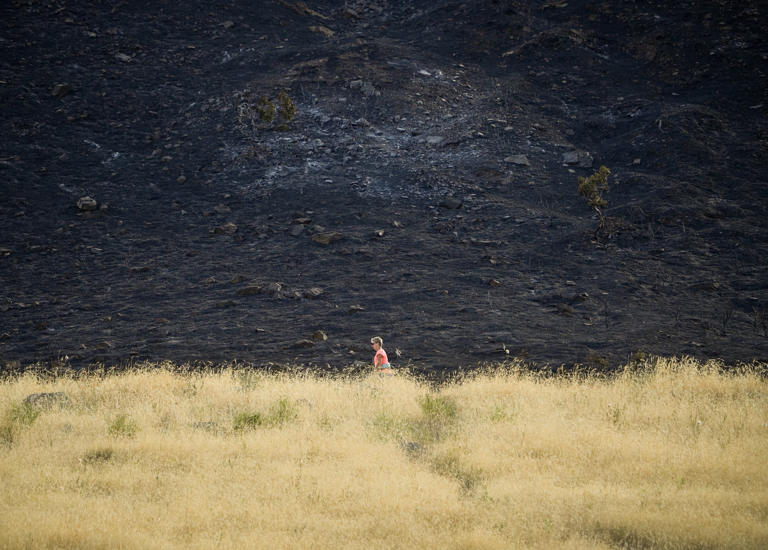 ‘A big issue’: The Salt Lake City fire is burning through rattlesnake ...