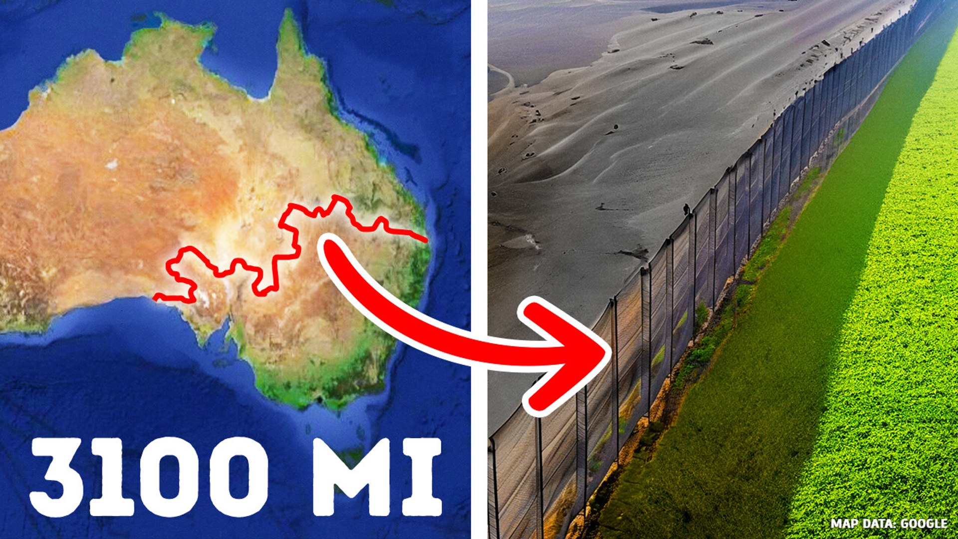 Global challenges: Australia's fence and rising sea levels