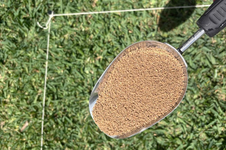 We tested organic lawn fertilizers—these 6 work best