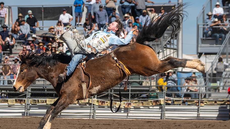 Oregon initiative could put hunting, ranching and rodeo at risk