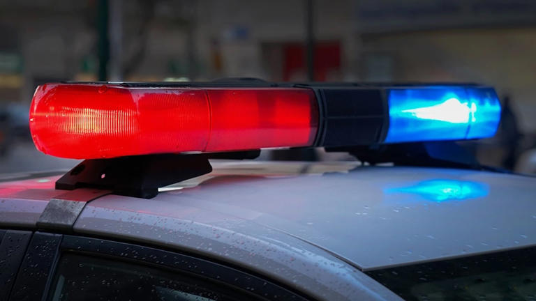 Man arrested after crashing into cruiser, police say