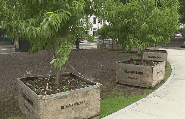 DeKalb County invites public to shape future parks in master plan update