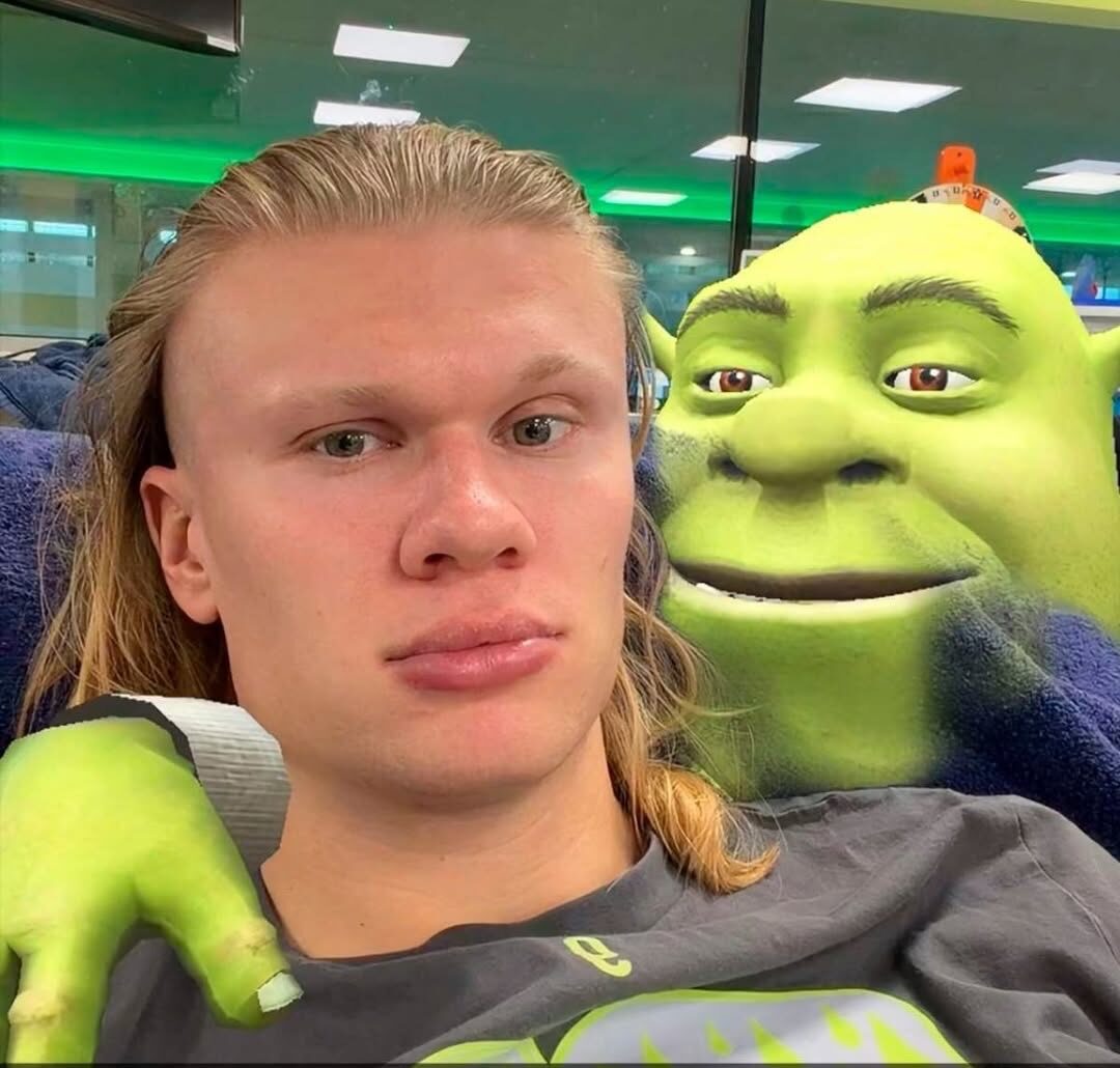 erling-haaland-s-viral-snapchat-sums-up-norway-s-world-cup-magic