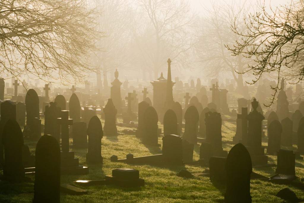 Man arrested in Hungary for collecting human body parts from cemeteries