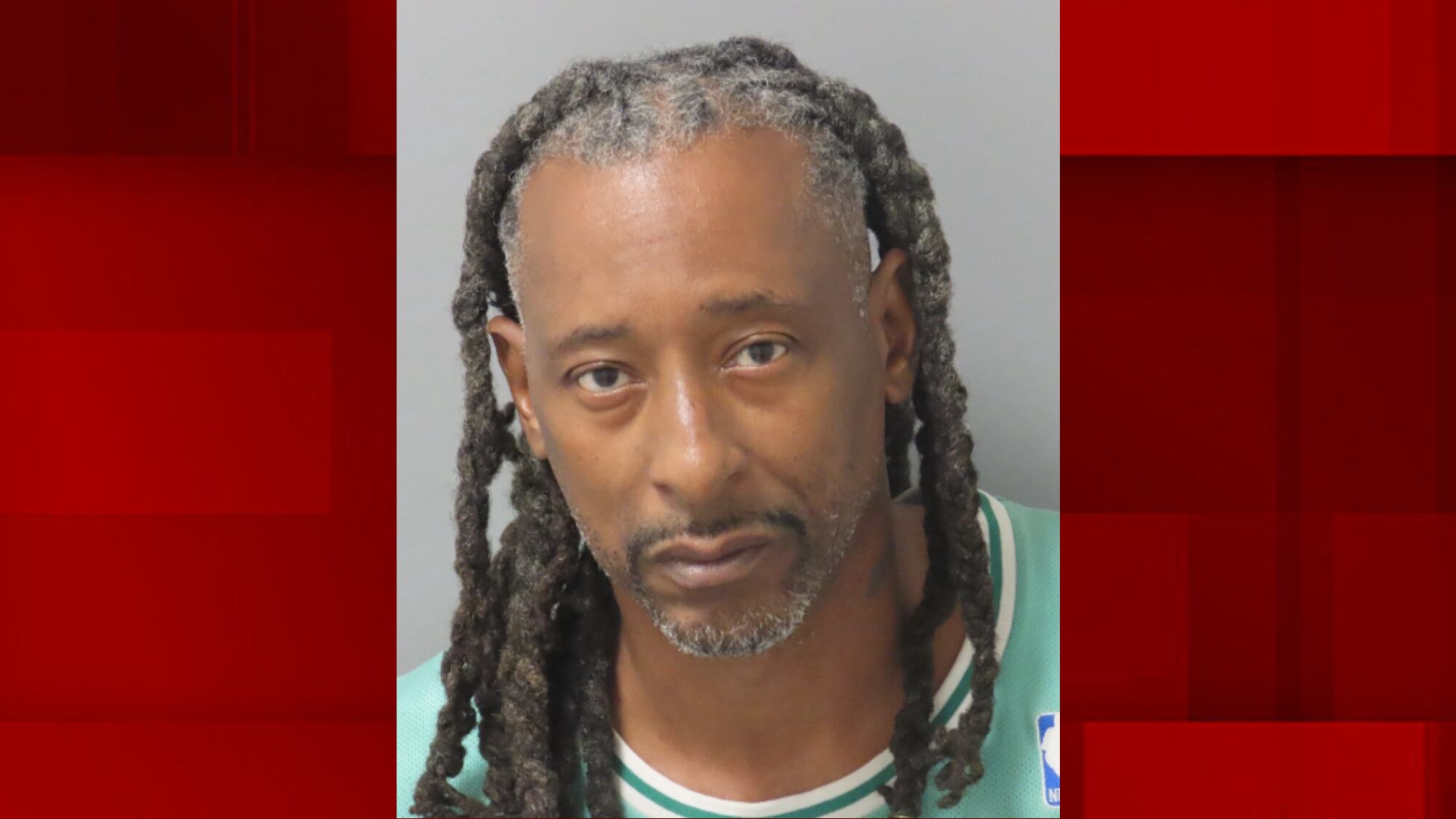 Owner charged after dogs mauled woman to death
