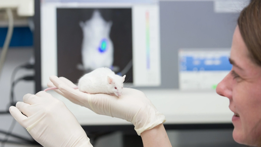 Copper compound shows Alzheimer’s treatment potential