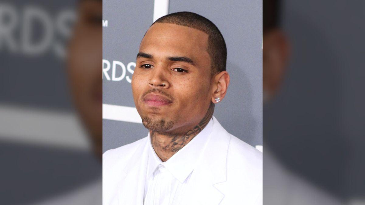 Chris Brown denies responsibility for the alleged attack and claims Avila provoked the dog. mega