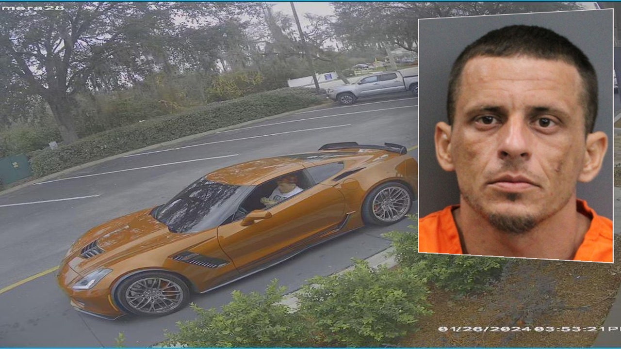 Fugitive arrested in Hillsborough County after years on the run: HCSO