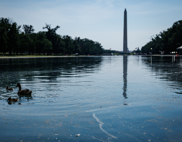 Cameras, fencing installed at Reflecting Pool