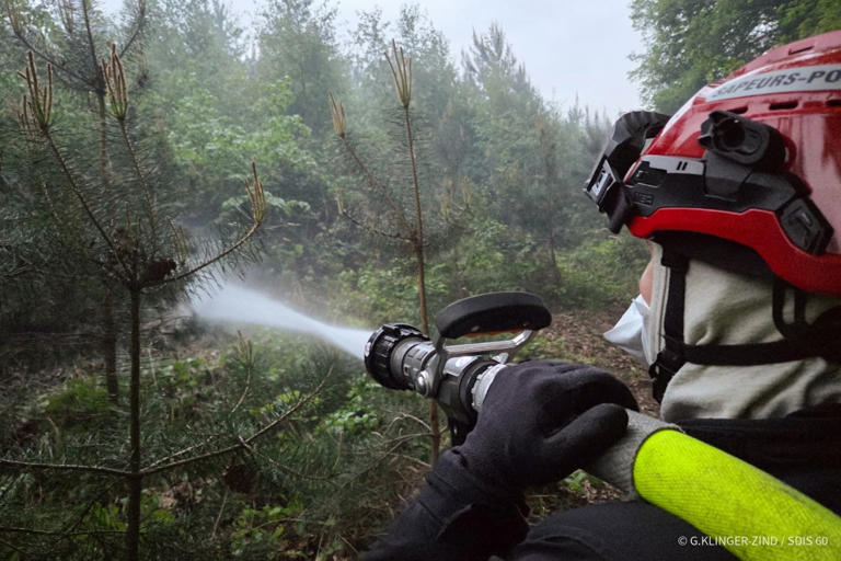 Canicule : près de 100 hectares de forêt ont brûlé ce mardi dans le ...