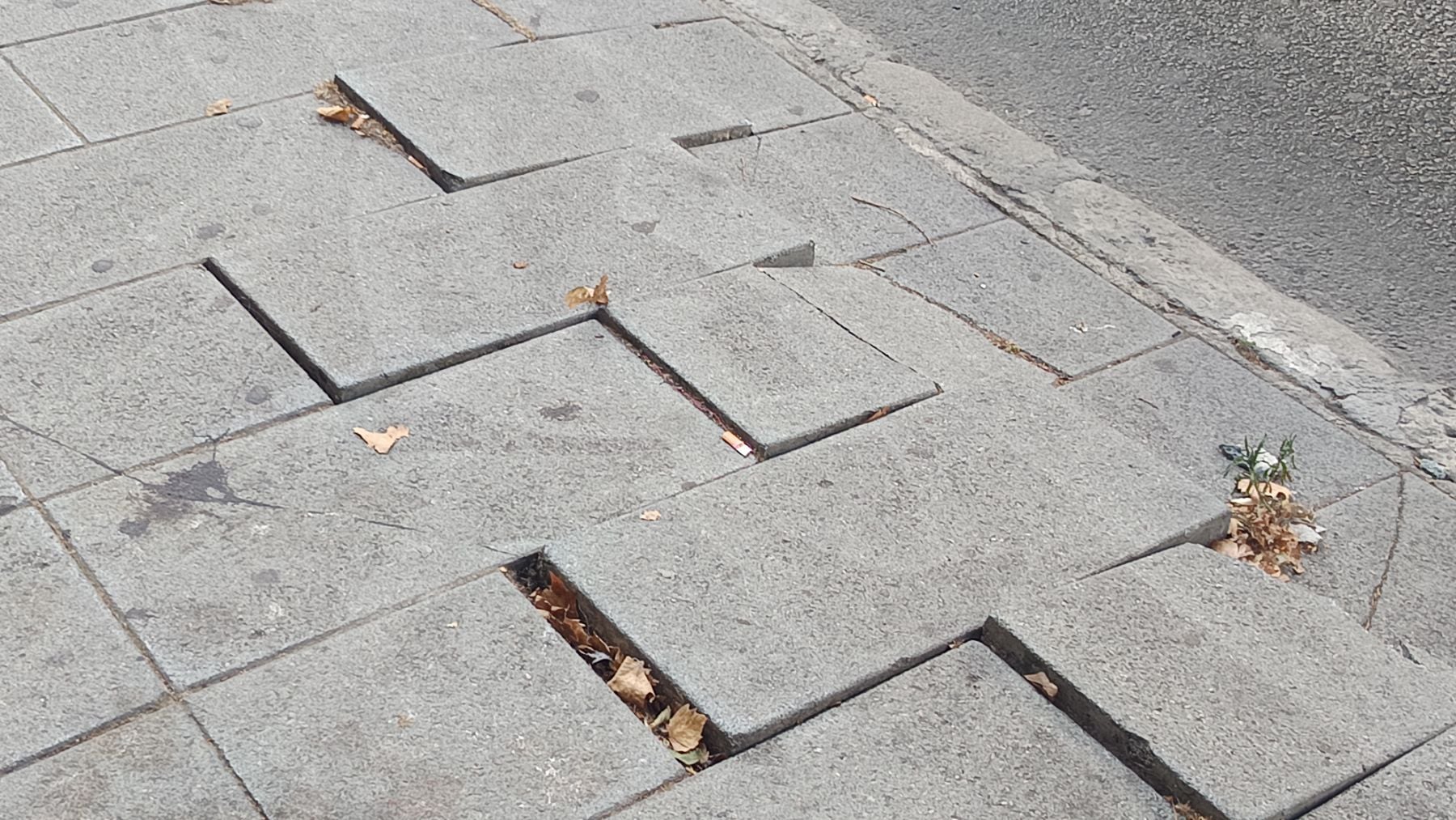 Era un clamor en Palma y el ayuntamiento se pone manos a la obra: plan ...