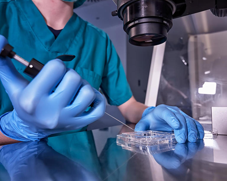 More than 70% of IVF patients in the UK, Australia and New Zealand pay for one or more add-on during IVF treatment. Photograph: Antonio Marquez lanza/Getty Images