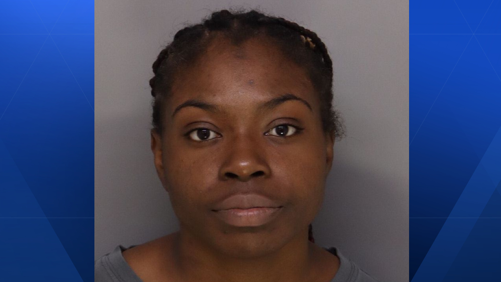 Court docs: Woman accused of stealing thousands of dollars from employer